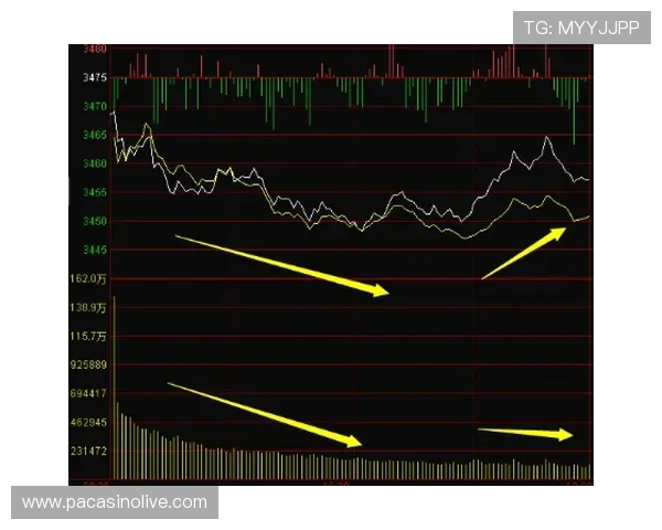勇士近期表现解读以节奏Tempo指数曲线揭示实力走向全新洞察
